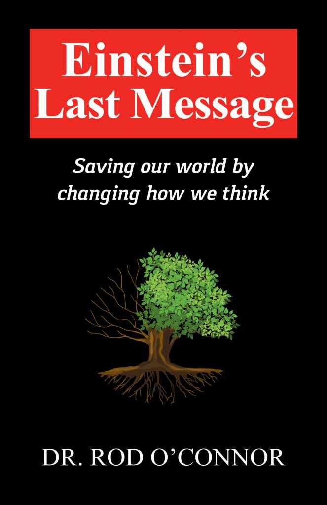 Cover of 'Einstein's Last Message'